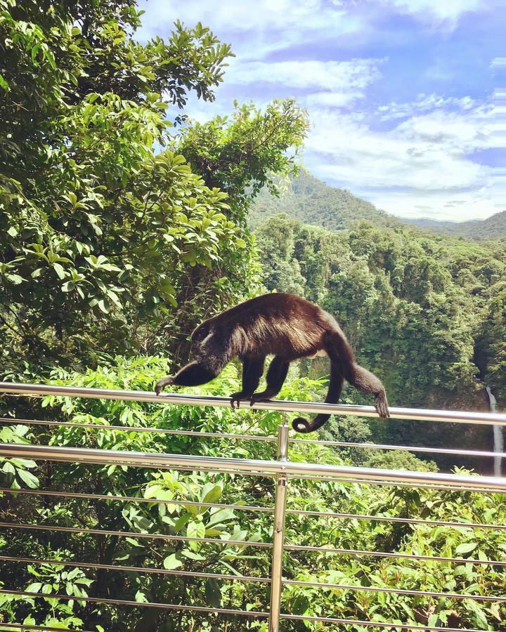 Villa Tucan La Fortuna Екстер'єр фото